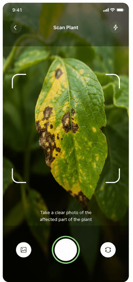 Plant scanning